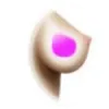 ゼリー（Gel）