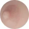 ライトピンク