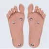 あり（StandableFeet）