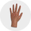 DOLLsenior-notye-handS6-color (3)