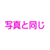 ワイヤータイプ