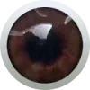 ダークブラウン
