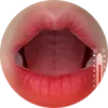 口腔加熱（Oral-Heating）