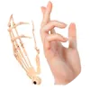 関節付きの指骨 (finger joints)