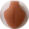 分体式舌（Tongue1）