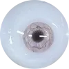 目玉3(eye3)