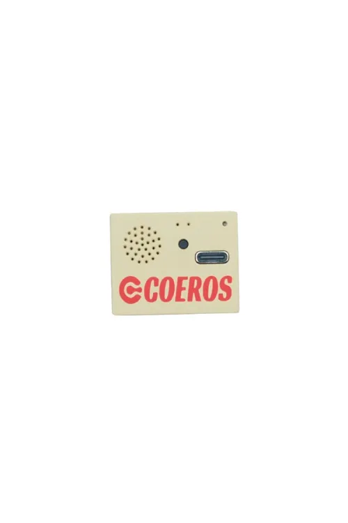 【在庫切れ！】Coero Soul AIスピーカー