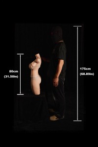 Climax Doll 美バランスボディ トルソー 型 上半身 良乳 シリコン高級ラブドール ULW 883# Torso(Nature) 80cm