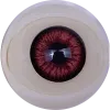 Sanmudoll-eye (3)