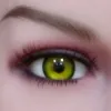 グリーン（Green）