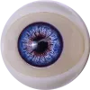 Sanmudoll-eye (6)