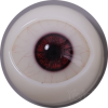 kumi2952