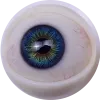 Sanmudoll-eye (2)