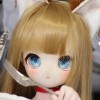 豆B（Wig2）