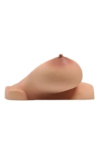 バストタイプ シリコン製 トルソー おしゃれ 超 乳 B-92 ナチュラル