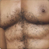 あり（chest hair2）