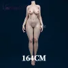 164cm（body6）