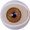 Sanmudoll-eye (5)