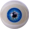 Sanmudoll-eye (10)